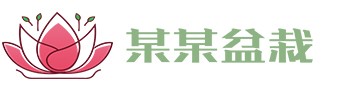 开云网页版-开云online(中国)